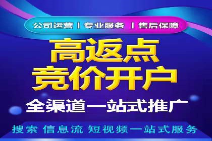 百度竞价公司运营策略：成功案例解析